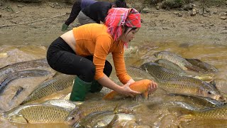 Girl Fishing  | Harvesting A Lot Of Big Fish At Pond Goes To Market Sell | Funny Fishing Videos