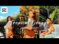 Tropical Orange CapCut Filter Capcut Editing Tutorial