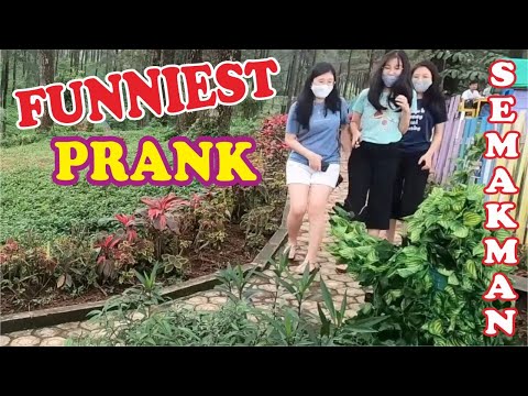 prank-manusia-daun-di-hutan-pinus-limpakuwus-banyumas