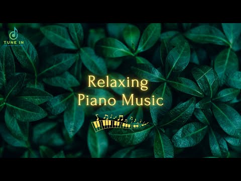 🔴Relaxing Piano Music Bamboo Water Fountain| Meditation #waterfountains #naturesounds #wellnessmusic