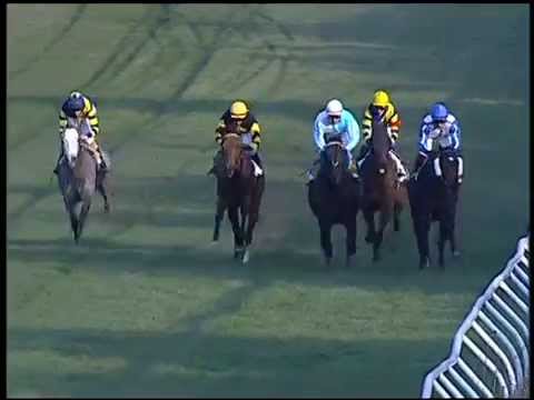 Galoppo 02/01/2015 - 2° corsa