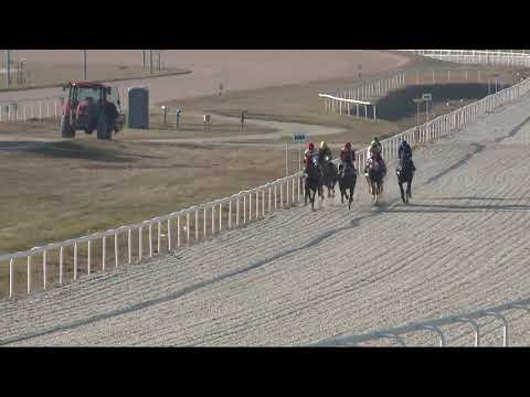 2021.11.21. 05. futam - LIGETTELKI DŰLŐ HENDIKEP (III.o.) (szintetikus pálya)