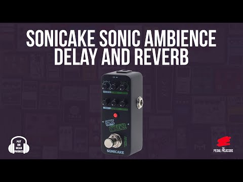 SONICAKE SONIC AMBIENCE DELAY AND REVERB