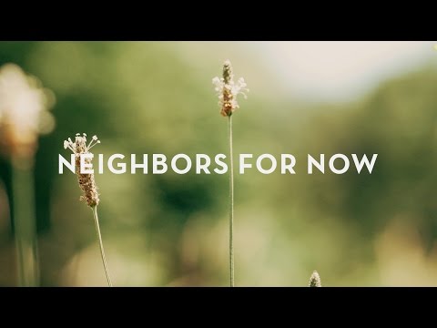 Chestnut Grove - 'Neighbors for Now' (Live)