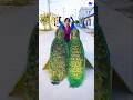Peacock Drawing Peacock Shorts Song Bollywood Hindisong