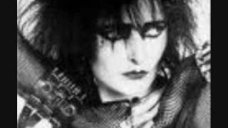 Siouxsie And The Banshees   New Skin