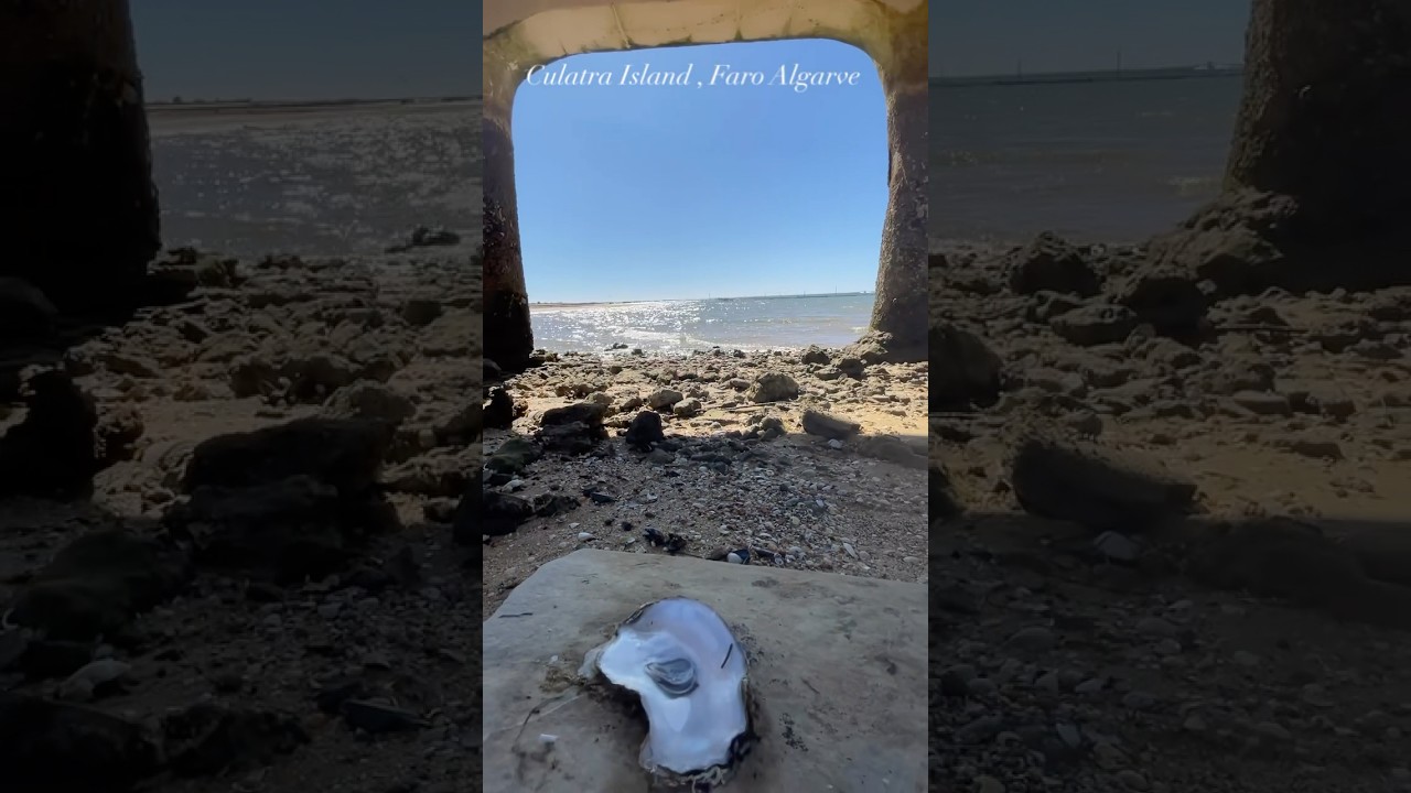 YouTube Short thumbnail