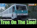 Tree On The Line DB BR 628 Niddertalbahn Train Sim World 3