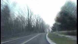 The Samples &quot;Prehistoric Bird&quot; By Sean kelly