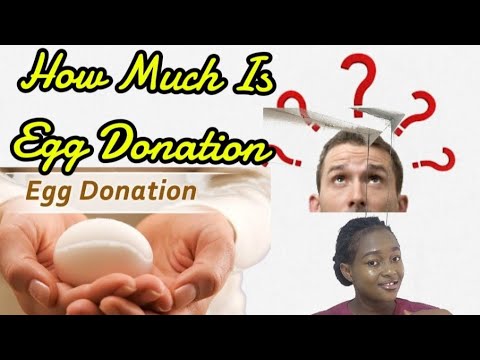 Egg Donation Compensation: What you need to know.