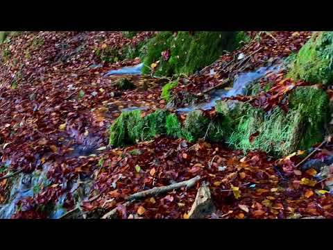 Nou!!! Daniel Hîrtie & Emanuela Grămadă ( Hîrtie ) - Vor sta în fața lui Isus