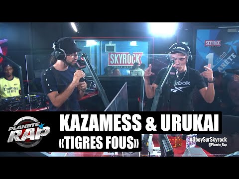 Video thumbnail for Tigres fous