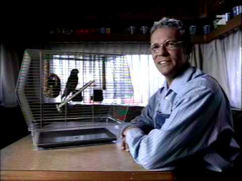 Bullyparade Outtakes 2