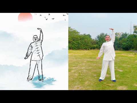 Tai Chi Flow for Beginners | Release Tension & Energize Your Body