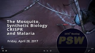 PSW 2378 The Mosquito, Synthetic Biology, CRISPR, and Malaria | Anthony James
