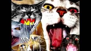 Tilly and the Wall - Save Me Now