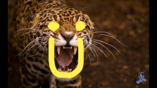 Uar Are You Now (Mexicans w Guns/Jack U Mashup) - DJ Banana Smile