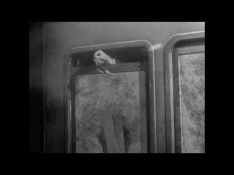 Madame de... - Max Ophüls (1953) - Letters to Wind - Memorias del Cine