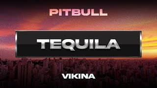 Pitbull x Vikina - Tequila Mp3