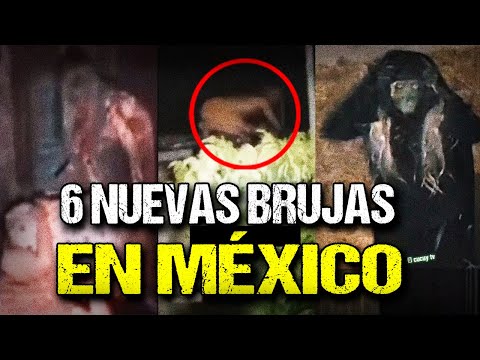 6 NEW WITCHES CAPTURED IN MEXICO