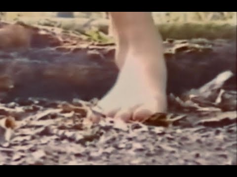 PLEIAS - Sothiac with Paul Jolly