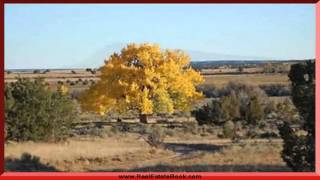 preview picture of video '104 A La Jara Ranch Trail, Galisteo, NM 87540'