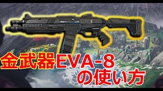 【きょたまる。】金武器EVA-8を救いたい【ApexLegends】