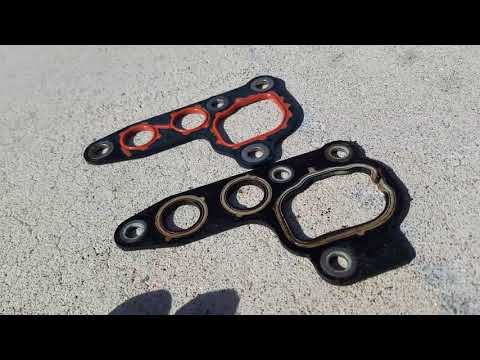 Oil Filter Adapter Gasket Replacement (Ford Mustang GT 2003)
