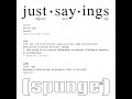 Just Sayings Lyric Video - [spunge]