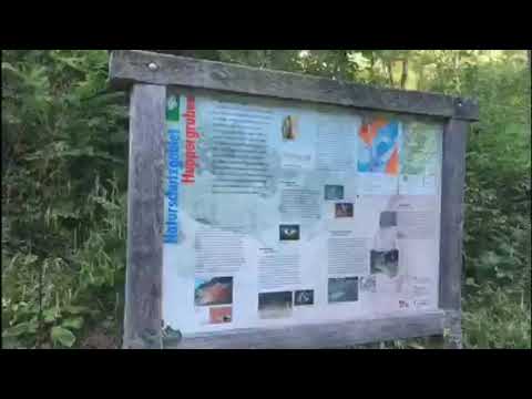 Wandern mit der Autobus AG - Lausen - Huppergruben - Liestal