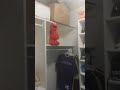 ELMO FALLS OFF A SHELF