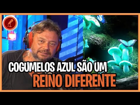 Curiosidades Sobre Cogumelo e Fungos - RICHARD RASMUSSEN - Inteligência Ltda.