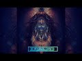 Bhang Chad Gyi Bholenath DJ Remix Song Kawad Yatra Dj Song Bholenath Brigade