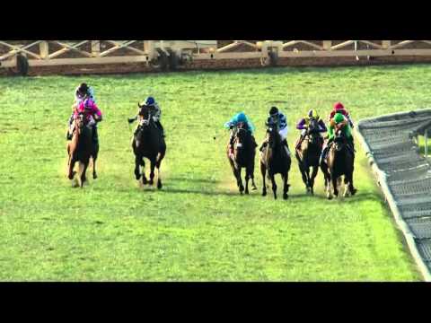 Om Headlines Hollywood Derby