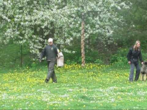 Astoria Daniel Bohemia - zkouška ZVV1 - obrana