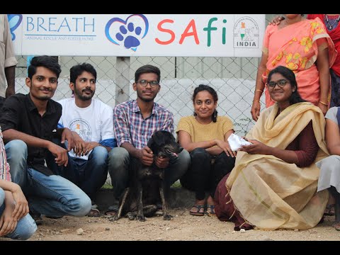 Ambulance project to save street animals In India