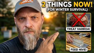 Two things new beekeepers should be doing now!! In August!!