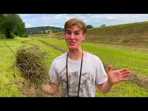 Rotfuchs Doku für Kinder