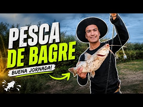 😱¡NO PARABAN DE PICAR!dorados y bagres en Santiago del Estero 🐟