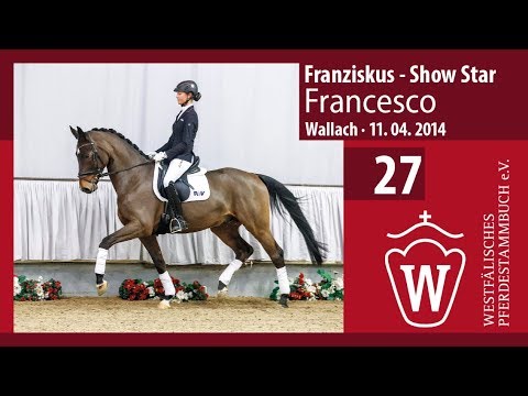 27 Francesco Wallach v. Franziskus - Show Star