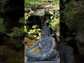 Ganga Taranga Ramaniya Jata Kalapam VISWANATHASHTAKAM Vishwastakam Shiva Stuti Shiva Stotram