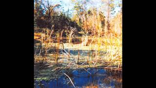 Jandek - Your Scarf in Denmark