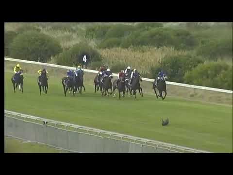 2020.02.01 Sun Met (RSA) - One World