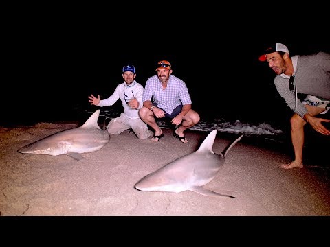 Insane Night of Shark Fishing from the Beach with the New York Mets Team - 4K