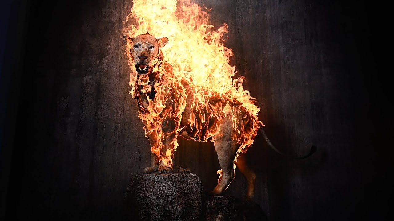 Image for the title: Youtube Image