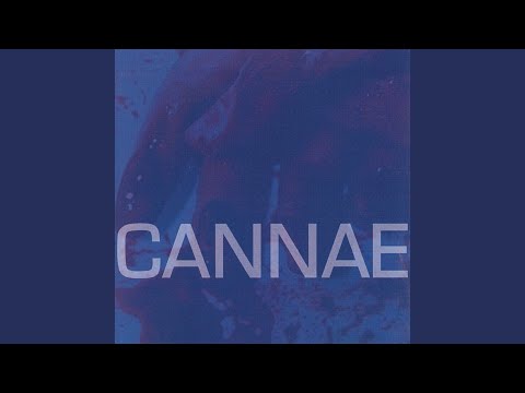 Human Head video thumbnail