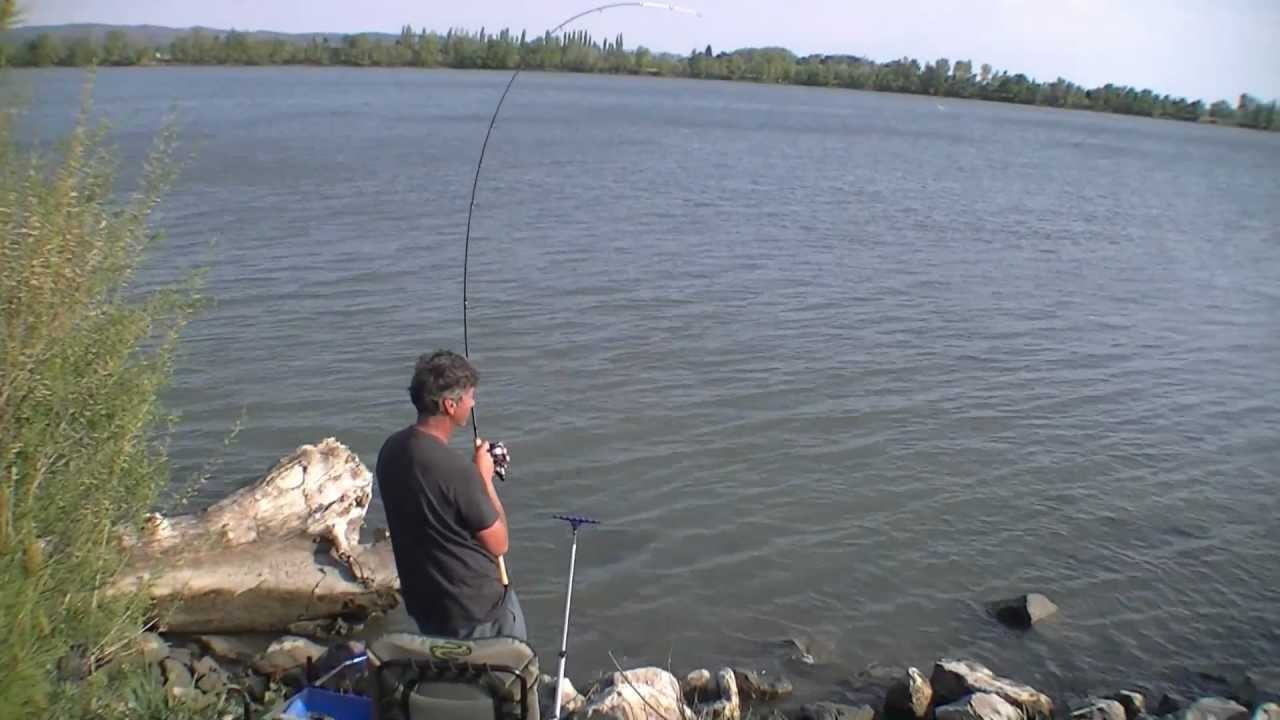 Essai et test canne Fox Warrior Barbel 12' 1.75 lbs.