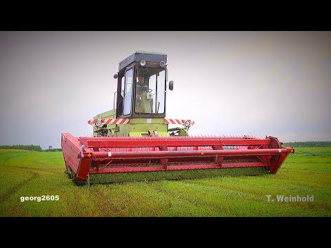 Fortschritt E303 Schwadmähen Hafer - Luzerne