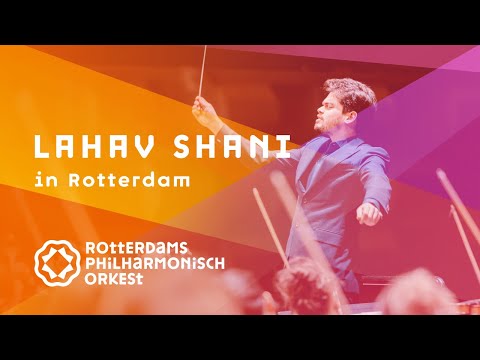 Lahav in Rotterdam