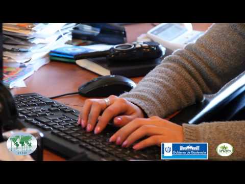 TMT PD 004 11R 2 M   Video Electronic Forest Enterprise Information System